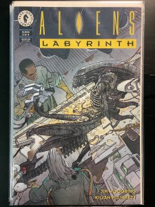 Aliens: Labyrinth #2 (1993)
