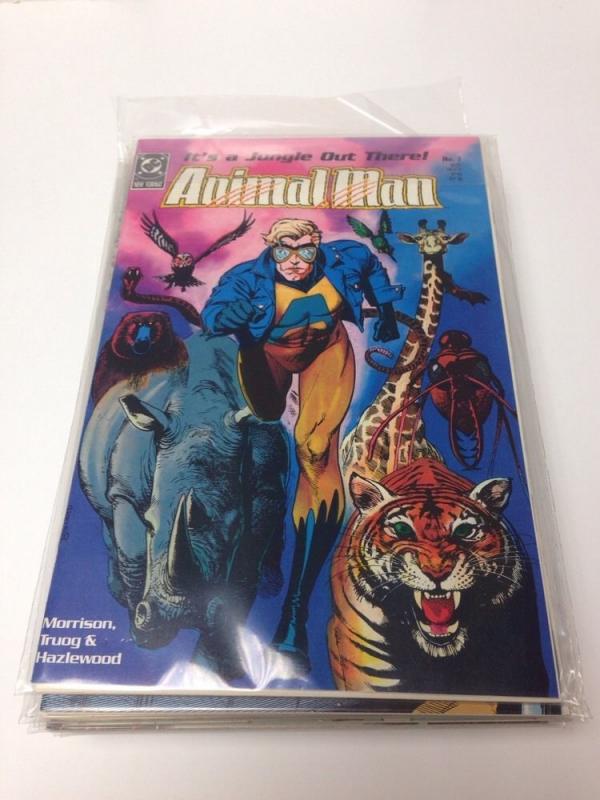 Animal Man 1-32 40 NM Near Mint 1988 Grant Morrison Run Set Lot