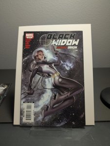 Black Widow: Deadly Origin #4 (2010) Black Widow