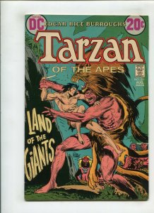 TARZAN VOL. 25 #211 (7.5) LAND OF THE GIANTS!! 1972 
