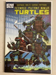 Teenage Mutant Ninja Turtles #51 8.0 (2015)