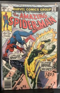 The Amazing Spider-Man #193 (1979)