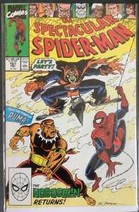 The Spectacular Spider-Man #161 Direct Edition (1990, Marvel) NM