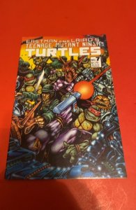 Teenage Mutant Ninja Turtles #7 (1986) 1st print