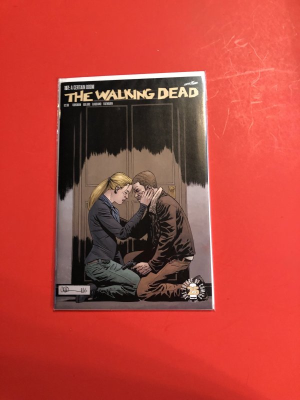 The Walking Dead #167  (2017)