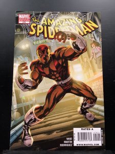 The Amazing Spiderman #579 Variant (2009)