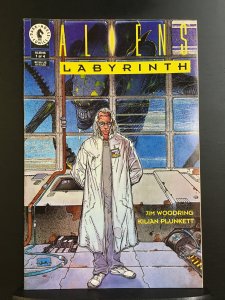 Aliens: Labyrinth #1 (1993)