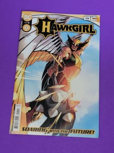 Hawkgirl (2023) issue 1 Galaxy Vulpecula appearances