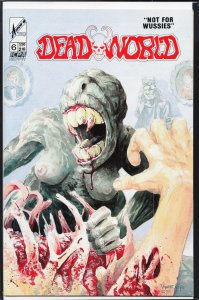 Deadworld #6 (1987)