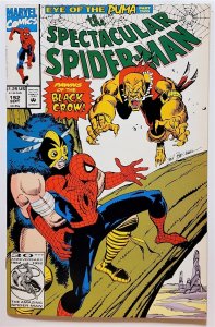 The Spectacular Spider-Man #192 (Sep 1992, Marvel) VF/NM  