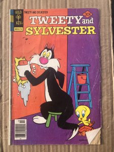 Tweety and Sylvester #74 (1977)