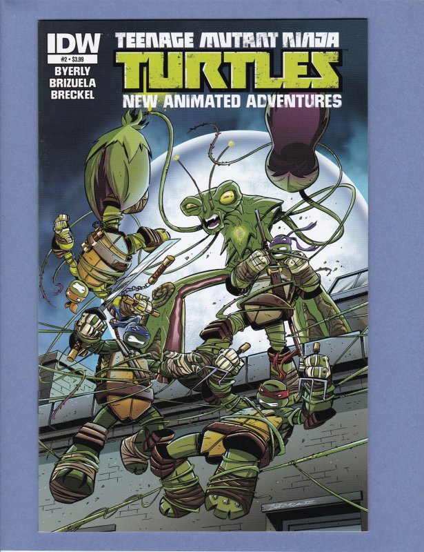 Teenage Mutant Ninja Turtles New Animated Adventures #2 NM