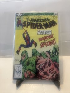 The Amazing Spider-Man 228