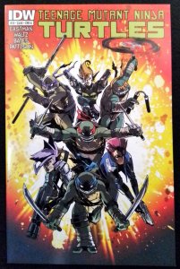 Teenage Mutant Ninja Turtles #19 (2013)