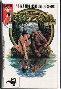 Tarzan of the Apes #1 Direct Edition (1984) Tarzan
