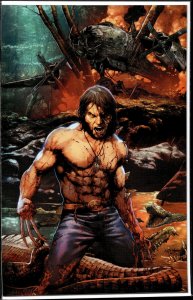 Wolverine #4 Anacleto Cover (2020) Wolverine