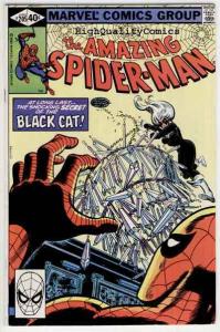 SPIDER-MAN #205, VF, Black Cat, Wolfman, Amazing, 1963, more ASM in store