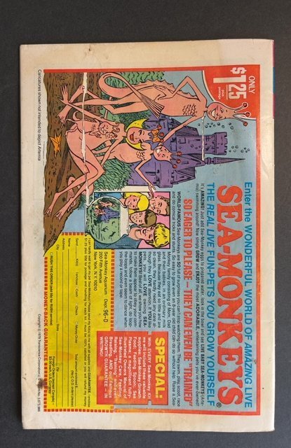 Beetle Bailey #127 (1979)