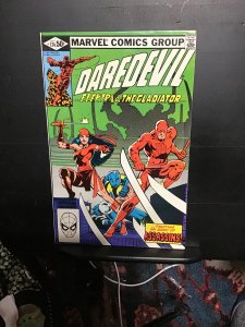 Daredevil #174 (1981) John Byrne Elektra key! Gladiator! NM- Richmond CERT!