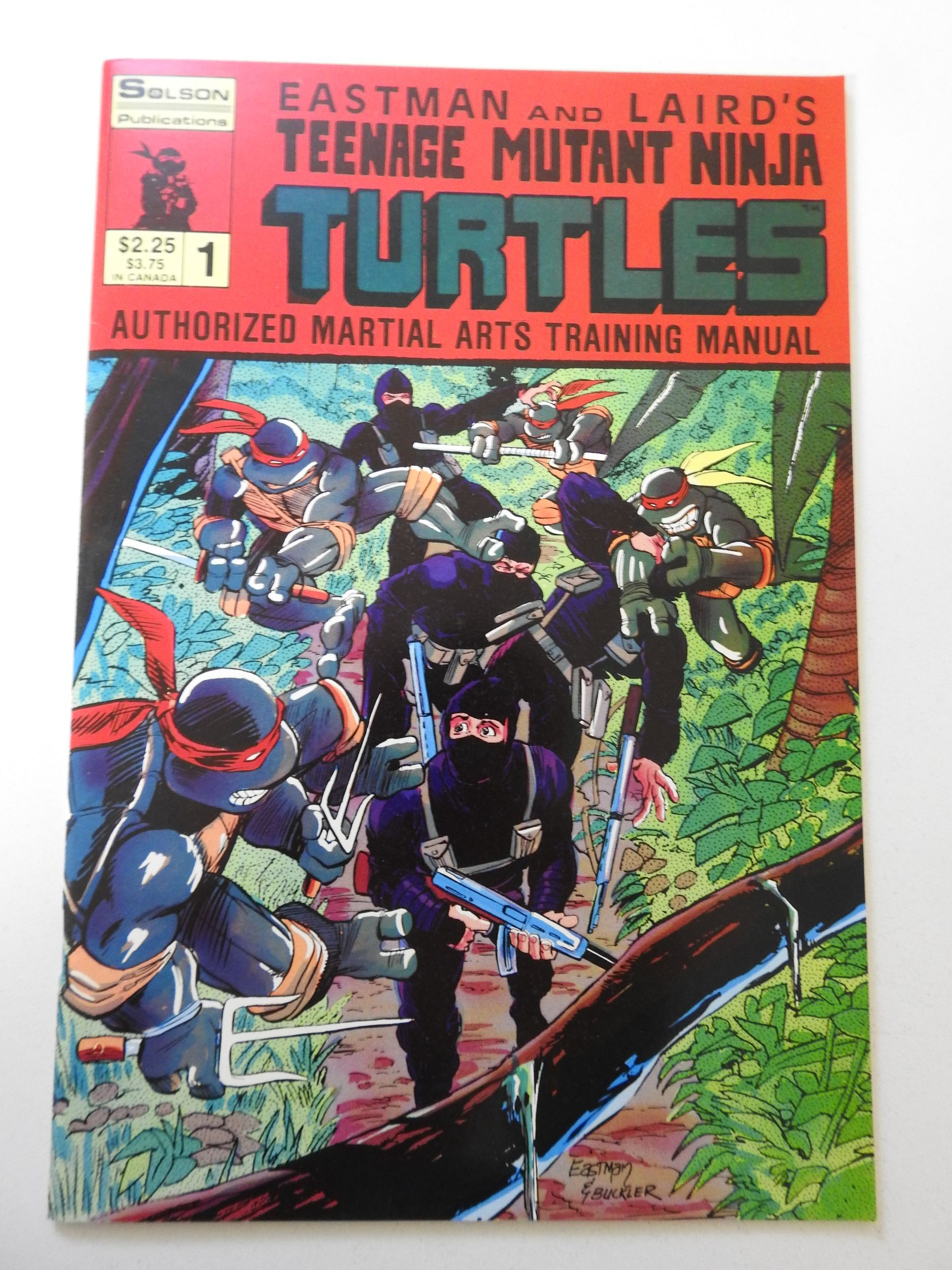 HOW to Draw Teenage Mutant Ninja Turtles (Solson) (1986 Series) #1