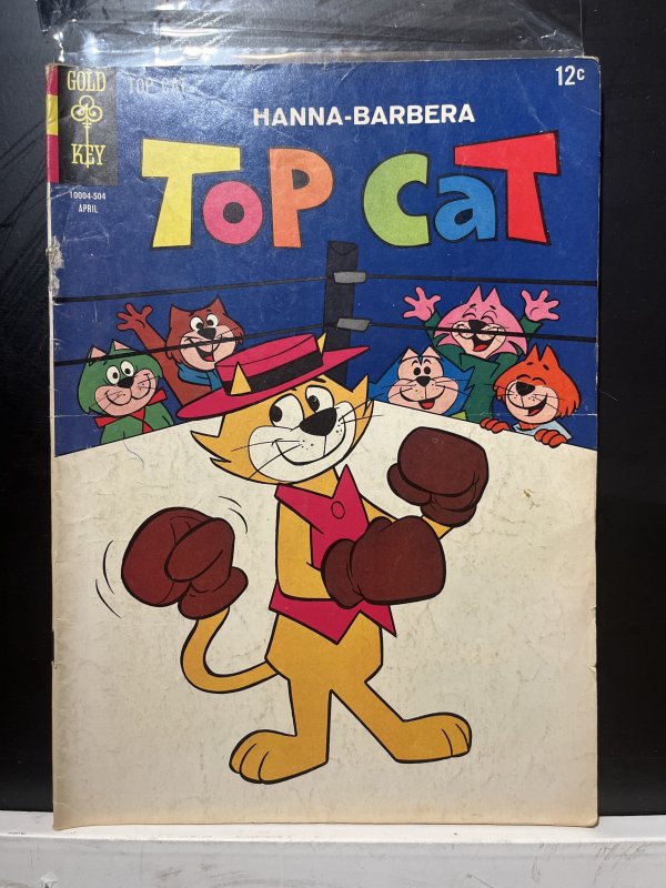 Top Cat #14 (1965)