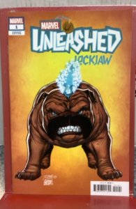 Marvel Unleashed #1 Lim Cover (2023)