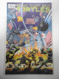 Teenage Mutant Ninja Turtles #18 (2013)