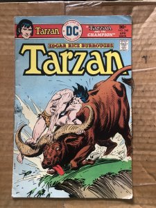 Tarzan #248 (1976)
