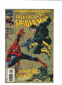 Spectacular Spider-man #209 VF+ 8.5 Marvel Comics 1993
