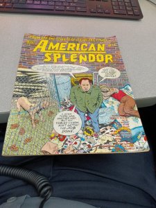 American Splendor #15 Comic Book From the Streets of Cleveland Harvey Pekar 1990