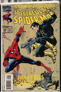 The Spectacular Spider-Man #209 (1994) Spider-Man