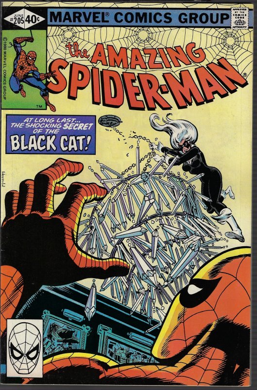 Amazing Spider-man #205 (Marvel, 1980) NM