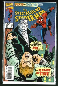 The Spectacular Spider-Man #205 (1993)