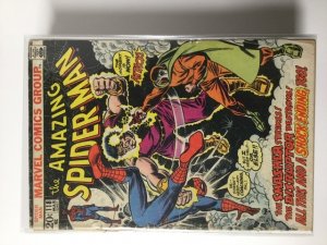 The Amazing Spider-Man #118 (1973) HPA