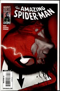 The Amazing Spider-Man #614 (2010)