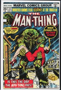 Man-Thing #22 (1975) Man-Thing