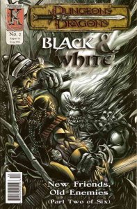 Dungeons and Dragons: Black And White #2 FN ; Kenzer and Company
