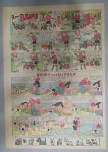Buster Beans Dog Comic Strip ! by Robt. L Dickey 7/14/1935 Size: 11 x 15 inches