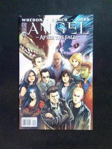 Angel After the Fall #5  IDW Comics 2008 NM