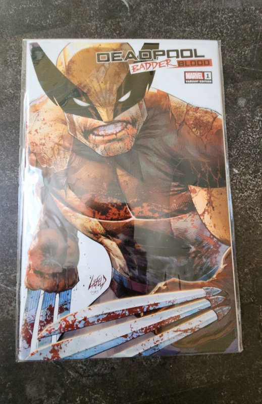 Deadpool: Badder Blood #1 Rob Liefeld variant cover Stashhhloot Cover (2023)