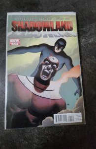 Shadowland #4 (2010)