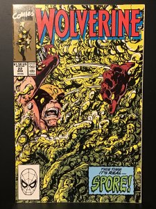 Wolverine #22 (1990) NM- 9.2