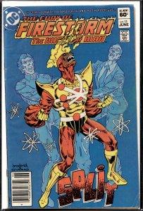 The Fury of Firestorm #13 (1983) Firestorm