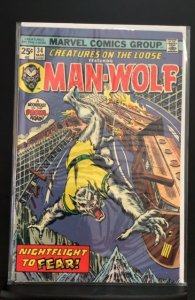 Creatures on the Loose #34 (1975)