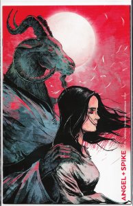 Angel + Spike #15 Cover C (2020) Spike