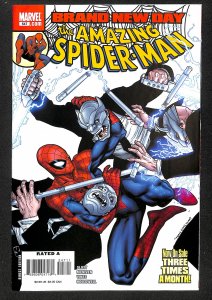The Amazing Spider-Man #547 (2008)