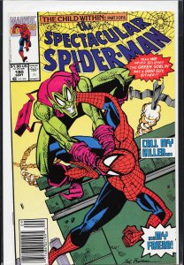 The Spectacular Spider-Man #180 (1991) Spider-Man