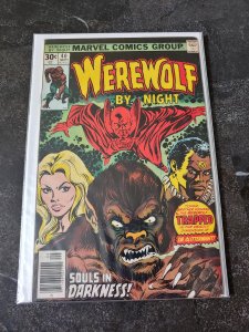 Werewolf by Night #40 (1976)  BROTHER VOODOO ISSUE