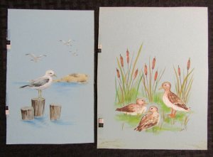 FATHERS DAY Seagulls on Posts with Cattails 6.5x8.5 Greeting Card Art #FD727