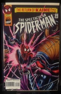 The Spectacular Spider-Man #231 (1996)